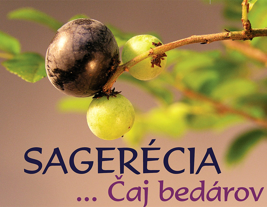 SAGERÉCIA - ČAJ BEDÁROV