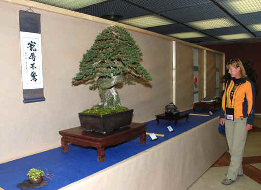 Kongres Bonsai club International Saint Vincent, Taliansko 2008