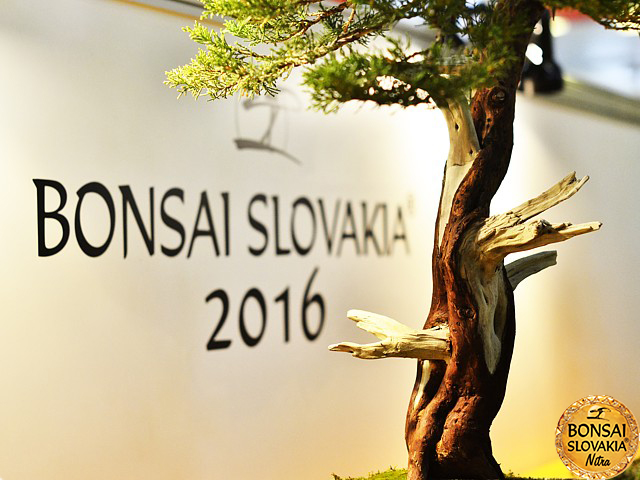 bonsai-slovakia-2016
