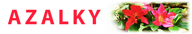 azalky