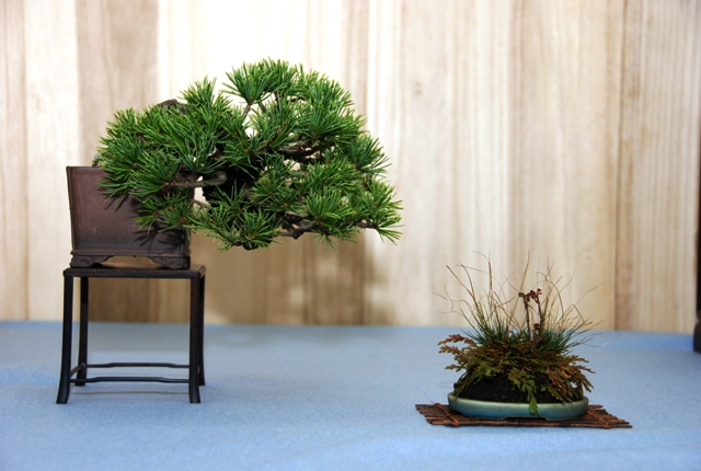 Japan Shohin