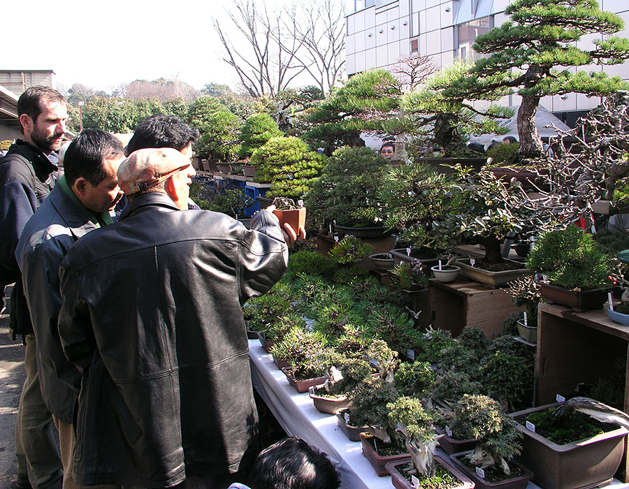 CESTA DO JAPONSKA - KOKUFU-TEN