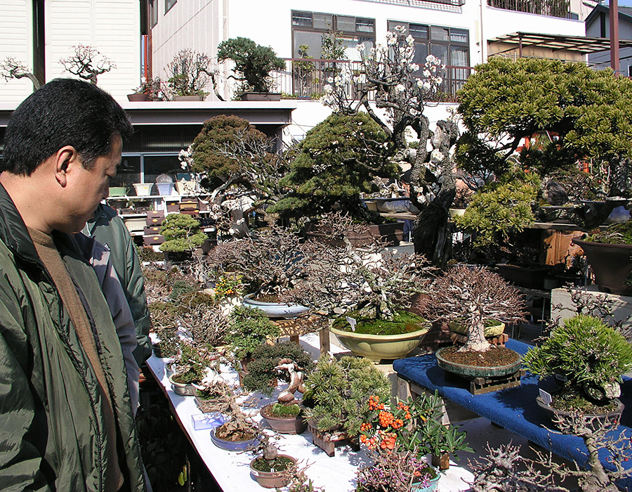 CESTA DO JAPONSKA - KOKUFU-TEN