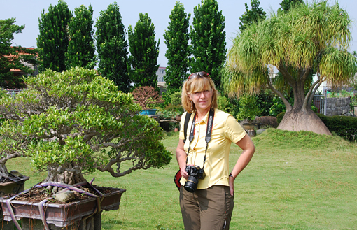 Bonsaj majstra Min Hsuan Lo, Taiwan