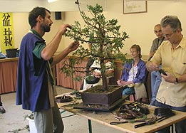 Summercamp - Harry Tomlinson, Anglicko 2003