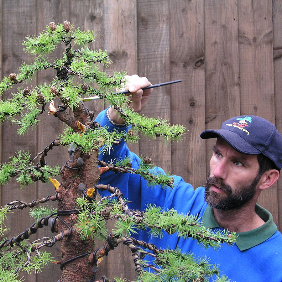 JIN-LIQUID - konzervačný roztok na mŕtve drevo bonsajov
