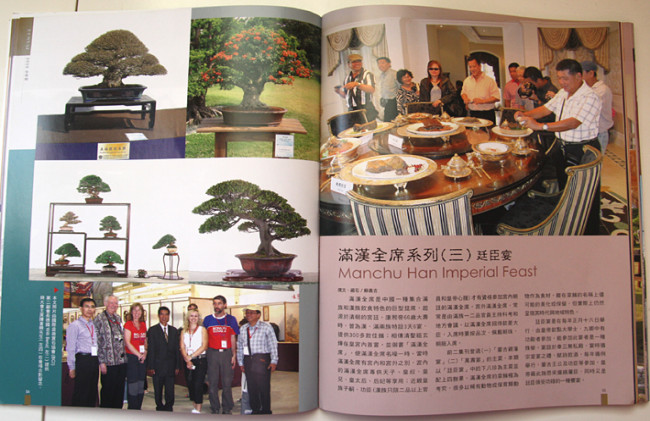 BONSAI & STONE APPRETIATION MAGAZINE: