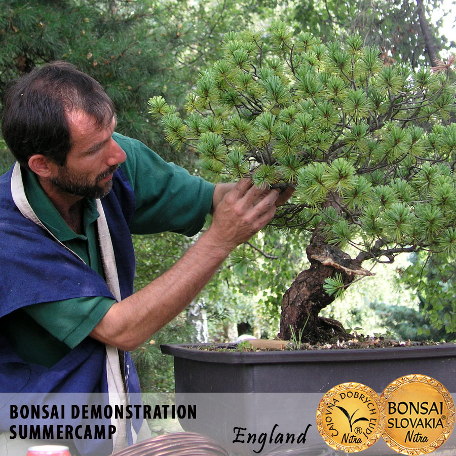 Donsai demonstration England, Ondejcik