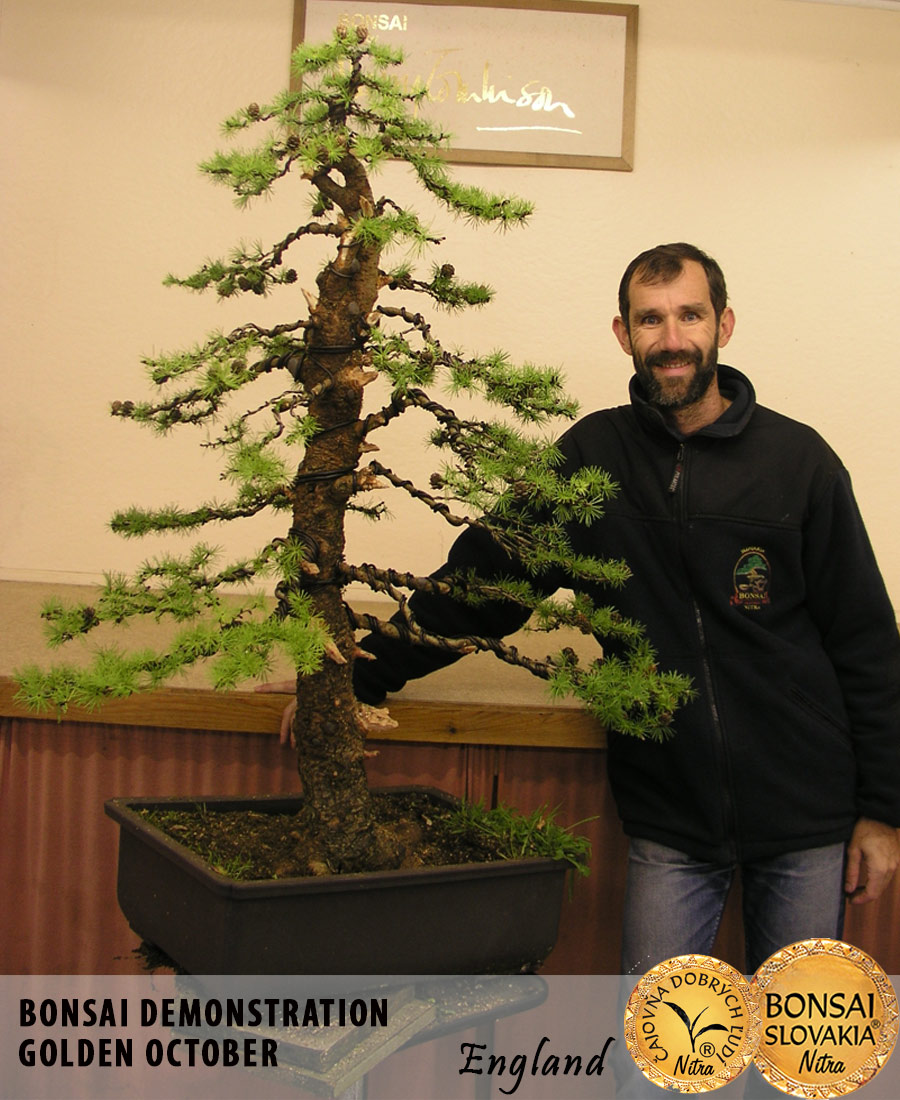 Výsledky demonštrácií tvarovania bonsajov na Golden October v Anglicku.