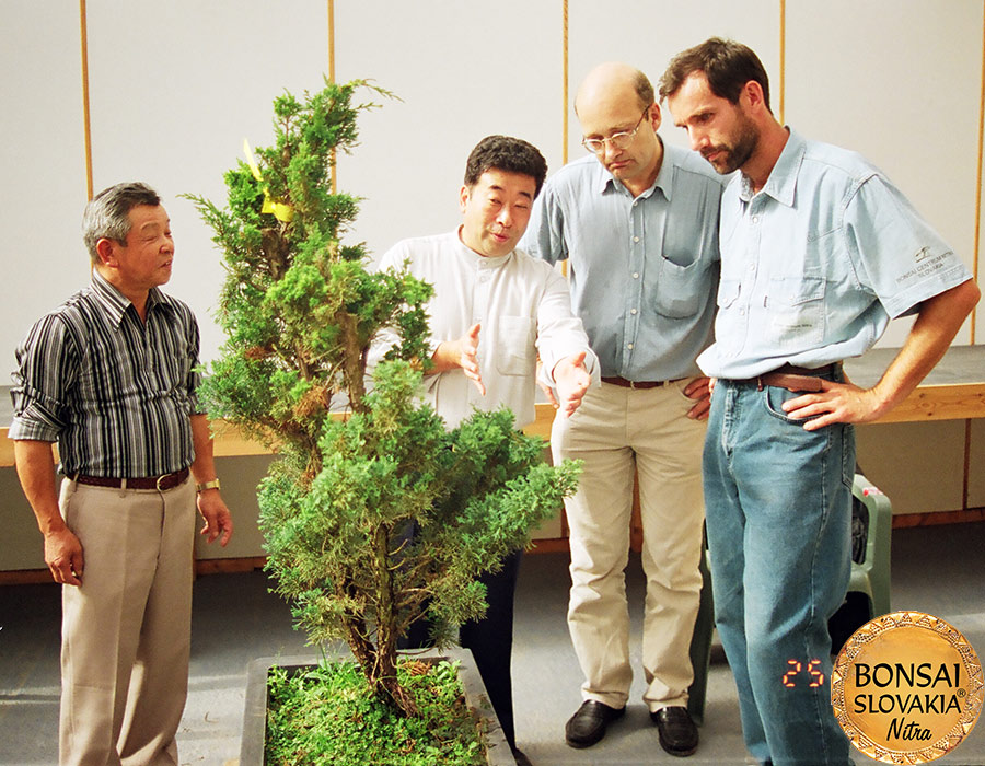 Akio Kato a Vladimír Ondejčík -tvarovanie na Ginkgo Bonsai 