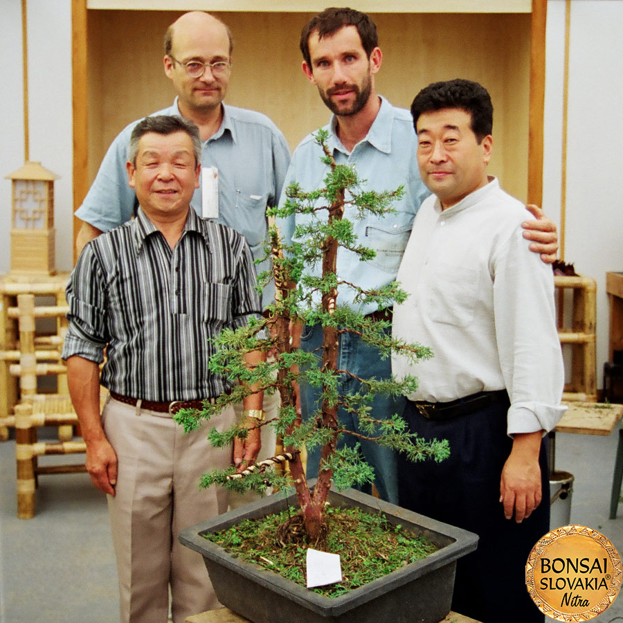 Akio Kato a Vladimír Ondejčík -tvarovanie na Ginkgo Bonsai