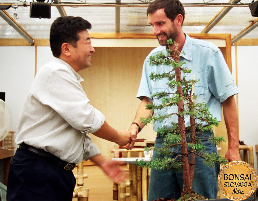 Akio Kato a Vladimír Ondejčík -tvarovanie na Ginkgo Bonsai