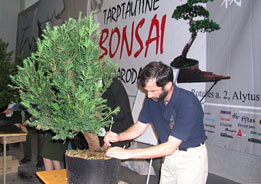 Bonsai Paroda - Litva - Alytus, 2004 