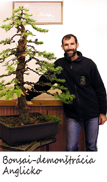 Bonsai demonštrácia - Ondejčík - Tomlinson