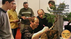 Bonsai Slovakia 2004