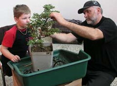 Bonsai Slovakia 2006