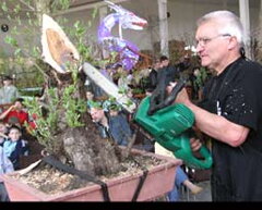 Bonsai Slovakia 2006