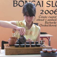 Bonsai Slovakia 2006