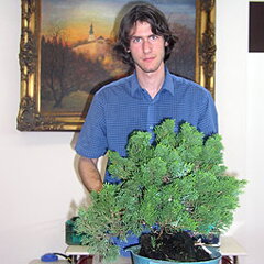 Bonsai Slovakia 2007