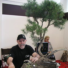 Bonsai Slovakia 2007