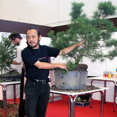 Bonsai Slovakia 2007