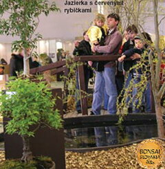 Bonsai Slovakia 2005