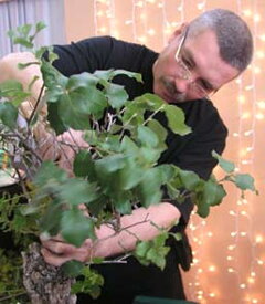 Bonsai Slovakia 2006