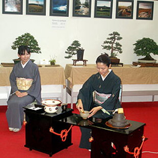 Bonsai Slovakia 2007