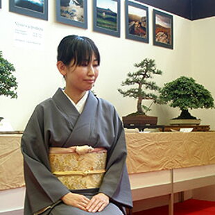 Bonsai Slovakia 2007