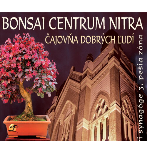 Bonsai centrum Nitra a Čajovňa dobrých ľudí stoja oproti židovskej synagóge uprostred Nitry