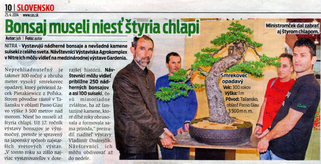 bonsai slovakia 2014