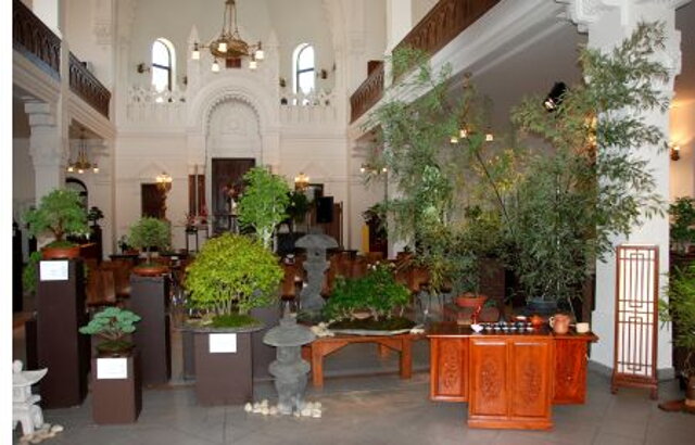Národná výstava bonsajov a suseki v Nitrianskej synagóge