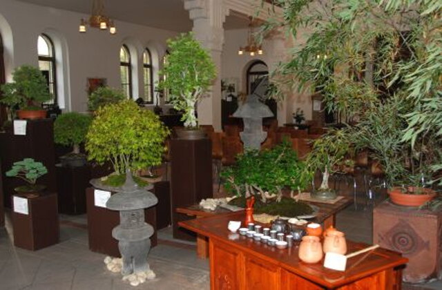 Národná výstava bonsajov a suseki v Nitrianskej synagóge