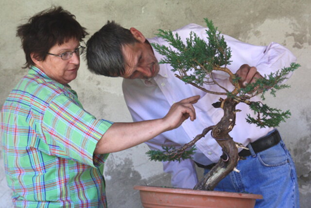 7. Národná výstava bonsajov a suseki SBA Prešov 2009 - III.