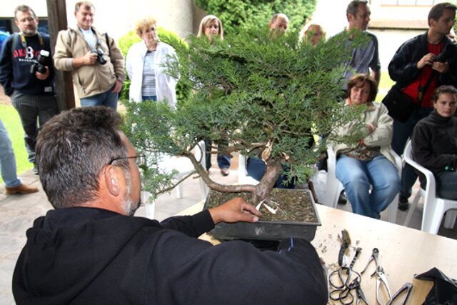 7. Národná výstava bonsajov a suseki SBA Prešov 2009 - II.