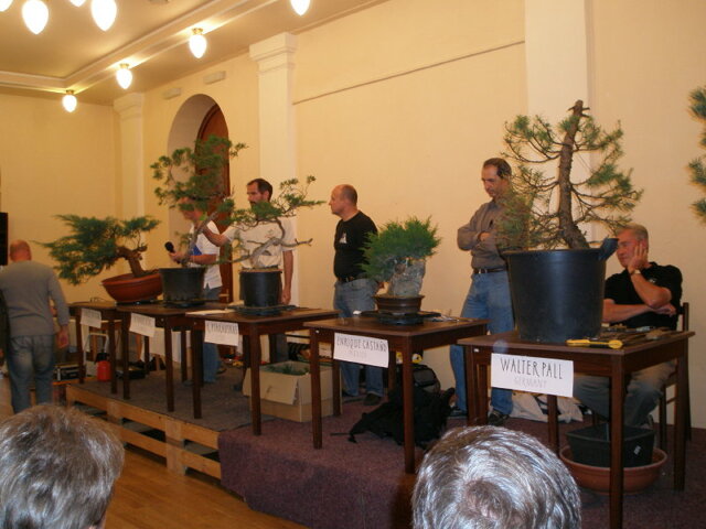 12. ročník celoštátnej výstavy bonsajov a suiseki - Děčín 2009 - Prezident SBA 2006-2010 - RNDr. Vladimír Ondejčík