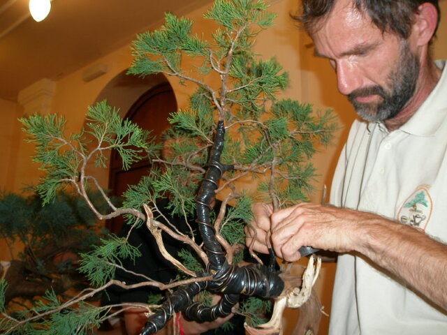 12. ročník celoštátnej výstavy bonsajov a suiseki - Děčín 2009 - Prezident SBA 2006-2010 - RNDr. Vladimír Ondejčík