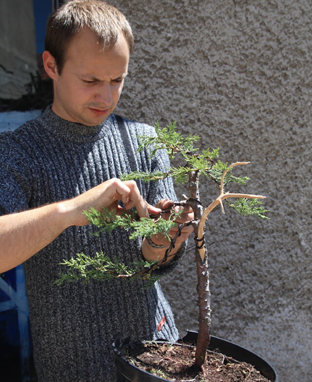 7. Národná výstava bonsajov a suseki SBA Prešov 2009 - IV.