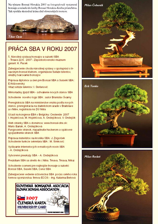 SLOVENSKÁ BONSAJOVÝ ASOCIÁCIA V ROKOCH 2006-2010 - PREZIDENT SBA RNDr. VLADIMÍR ONDEJČÍK