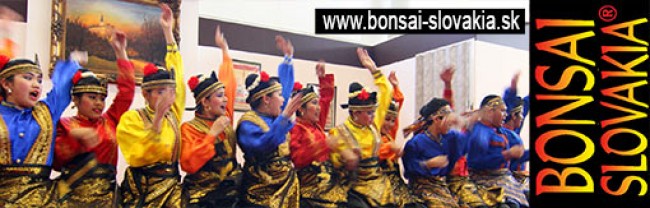BONSAI SLOVAKIA, NITRA  -  since 1997 INTERNATIONAL BONSAI & TEA FESTIVAL