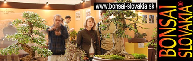 BONSAI SLOVAKIA, NITRA  -  since 1997 INTERNATIONAL BONSAI & TEA FESTIVAL