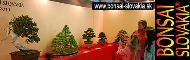 BONSAI SLOVAKIA, NITRA  -  since 1997 INTERNATIONAL BONSAI & TEA FESTIVAL