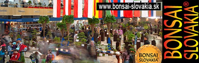 BONSAI SLOVAKIA, NITRA  -  since 1997 INTERNATIONAL BONSAI & TEA FESTIVAL