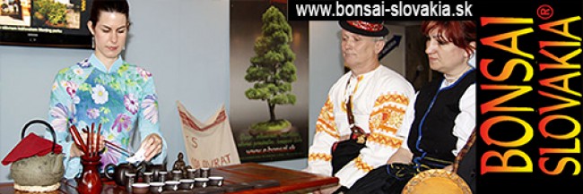 BONSAI SLOVAKIA, NITRA  -  since 1997 INTERNATIONAL BONSAI & TEA FESTIVAL