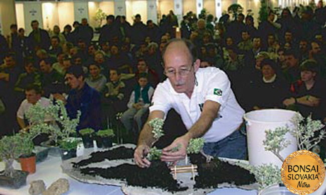 Bonsai Slovakia 2003