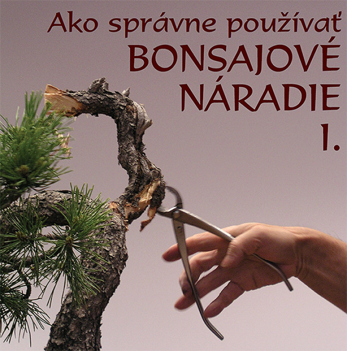 BONSAJOVÉ NÁRADIE - KIRAKUNI - NITRA