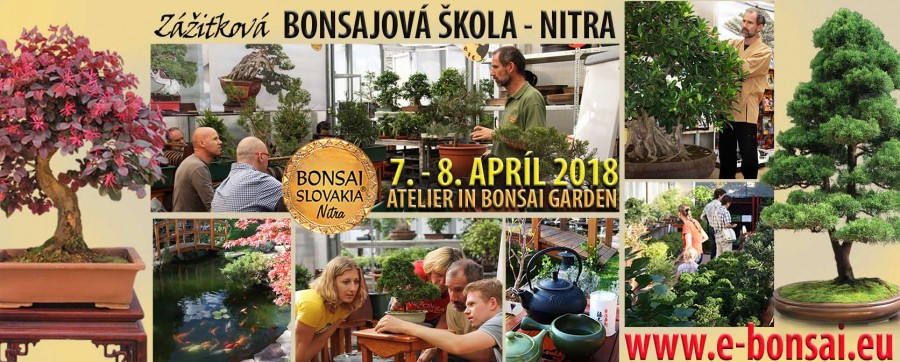 BONSAJOVÁ ŠKOLA NITRA