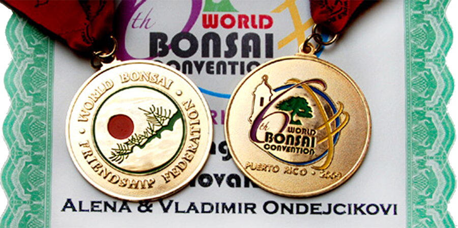 GOLD MEDAL - 6th World Bonsai Friendship Federation