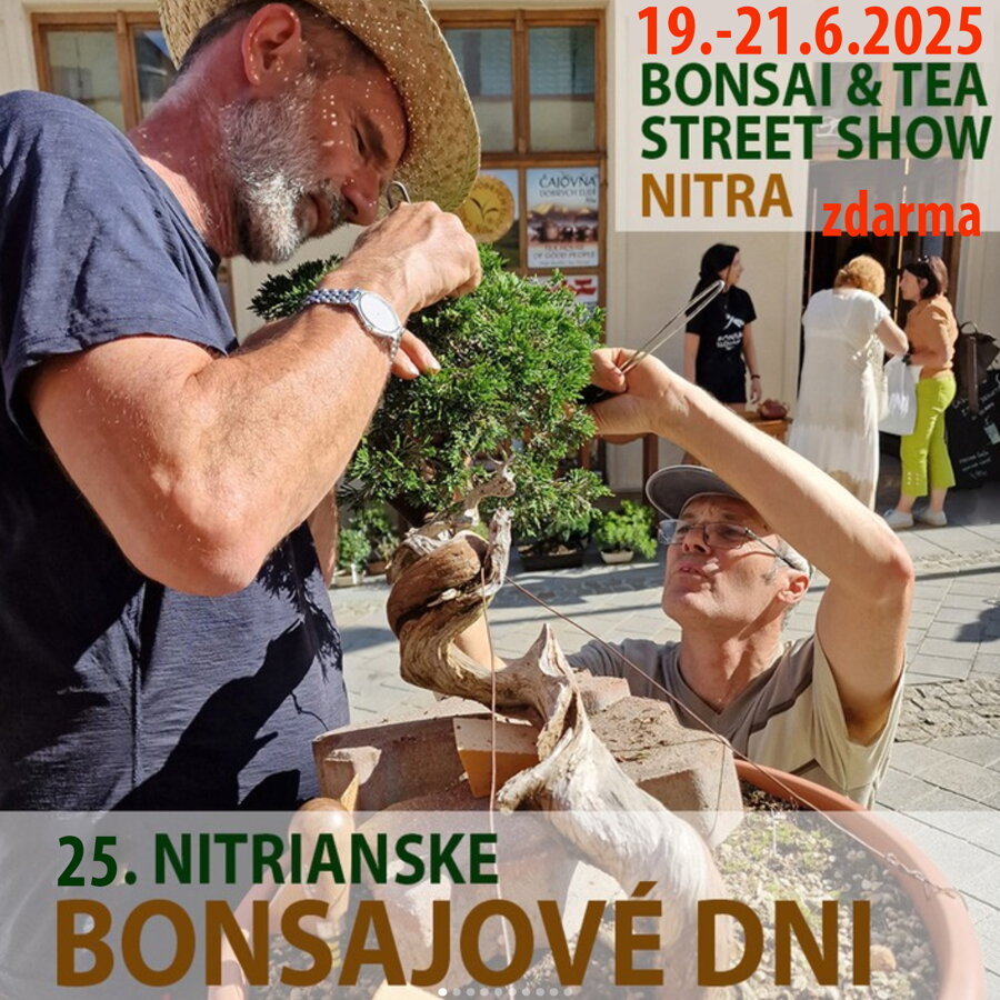 Nitrianske bonsajové dni