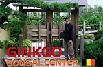 GINKGO BONSAI CENTER